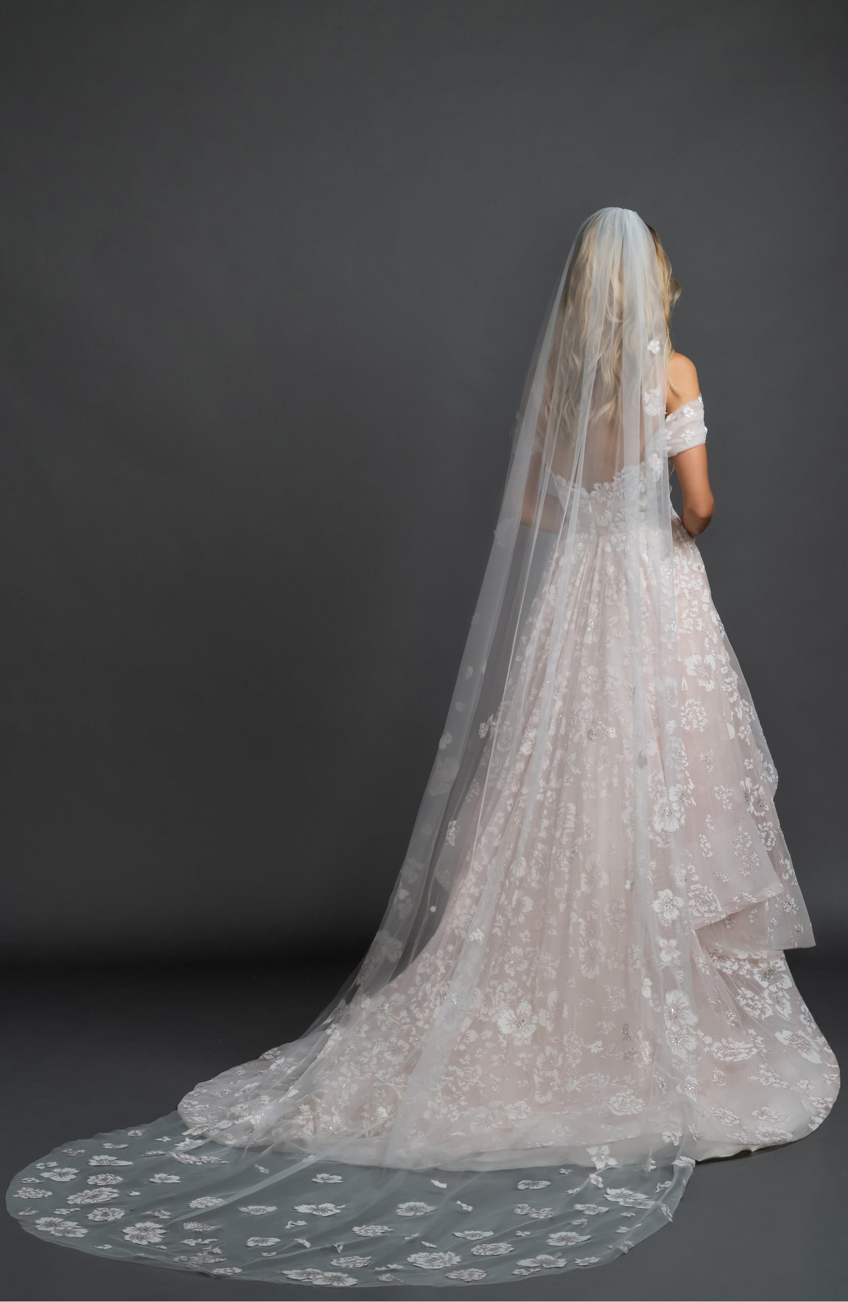 HAYLEY PAIGE Caviar Floral Cathedral Veil, Main, color, IVORY
