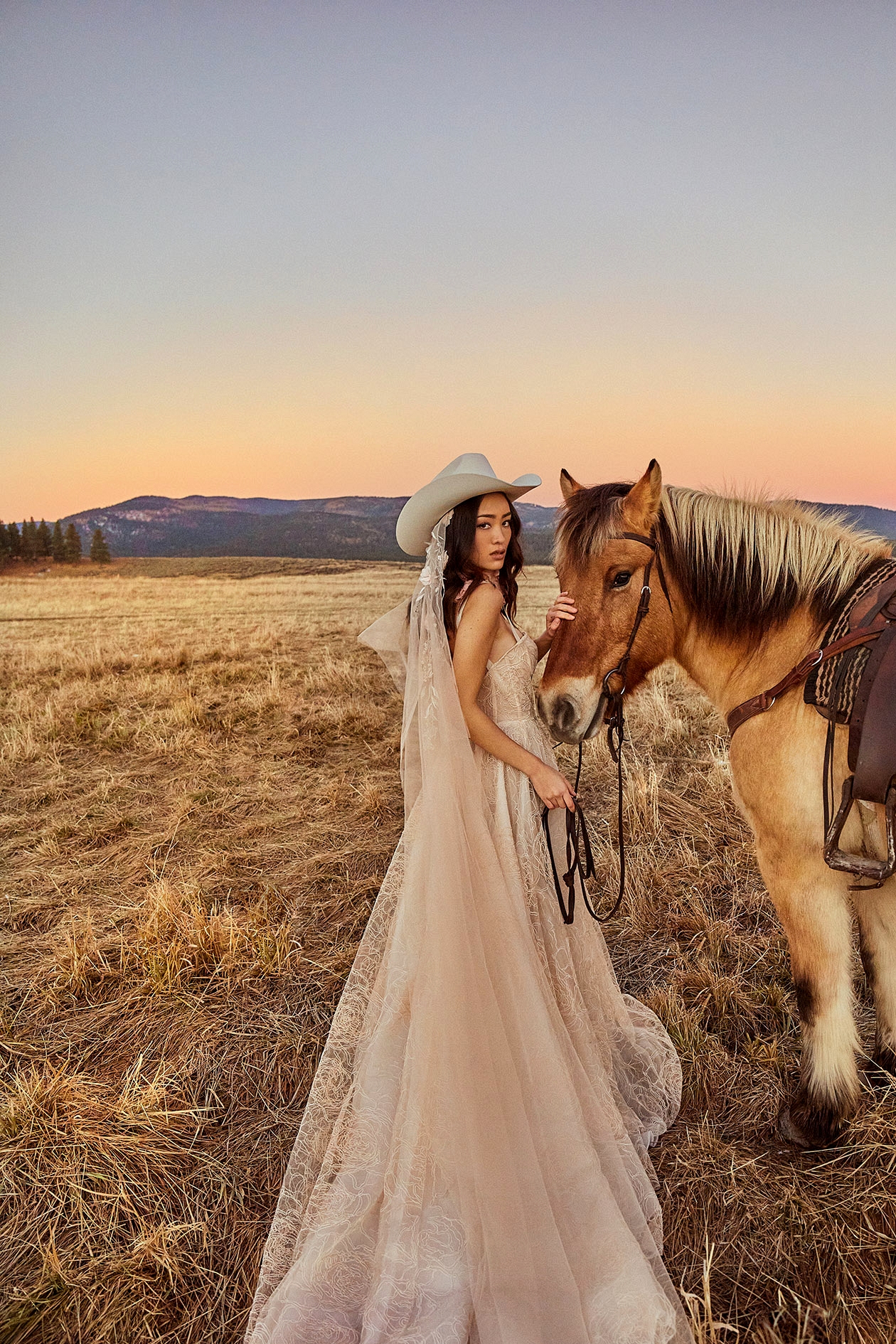 Tara Lauren Wedding Dress with horse