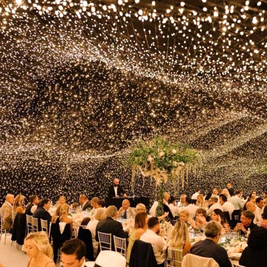 Fairy Stringlights Wedding 04