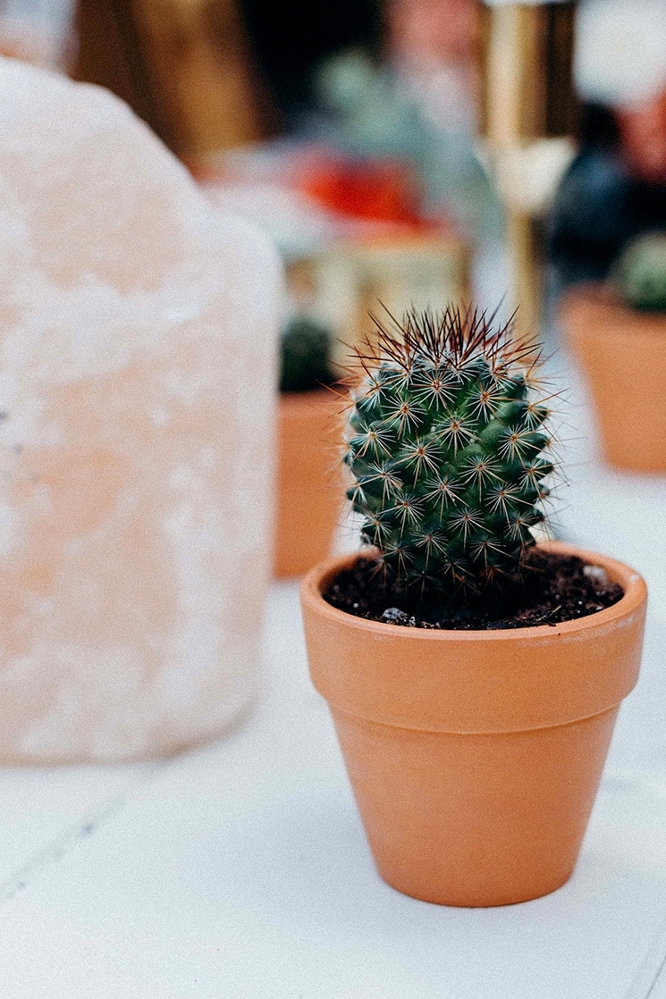 Burnt Orange Boho Desert Wedding Inspiration | Chasing Moments Photography 