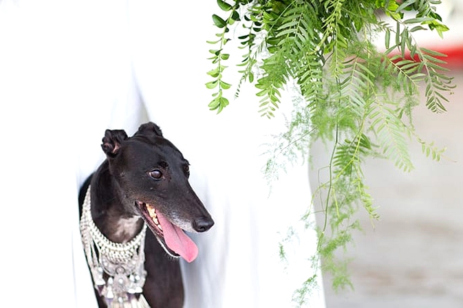 Matte Black and Greenery Wedding Inspiration in an Aircraft Hangar | Lyndal Carmichael Photography