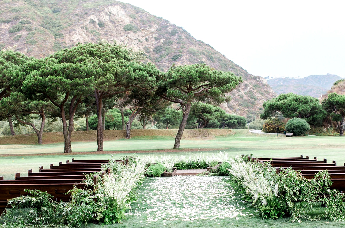 greenery aisle