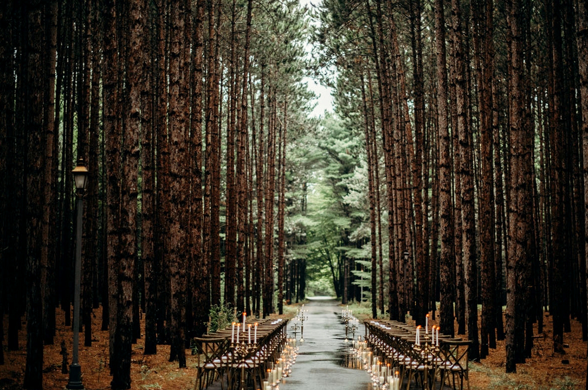 dreamy weddings in the woods